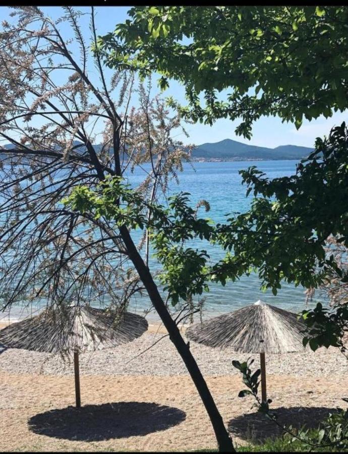 Luxury Majpruz Suites I Zadar Eksteriør bilde